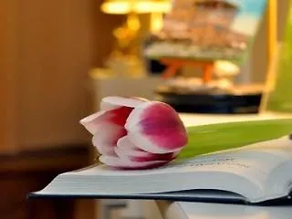 Apadana Frankfurt 2*